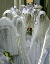 blogs_guardian_co_uk_news_archives_images_brides.jpg