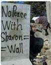 _dflp-palestine_org_image_wall_sharon_index.jpg