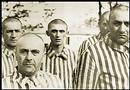 _newseum_org_holocaust_html_images_Prisoners.jpg