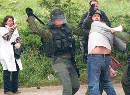 _palestinemonitor_org_nueva_web_facts_sheets_images_prisoners.gif
