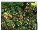 _cnn_com_interactive_asianow_9909_nepal.gurkhas_07.gurkha.soldiers.nap.jpg