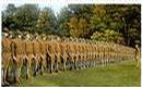 freepages_military_rootsweb_com_~worldwarone_WWI_MilitaryCamps_CampZacharyTaylor_Soldiers_at_Attention.jpg